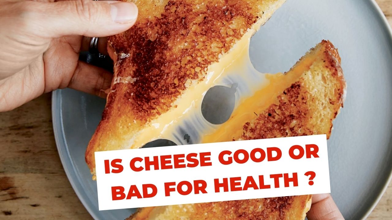 cheese benefits for health